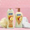 imageSoftsoap Body Wash Coconut Butter Scrub  Exfoliating Body Wash 20 Ounce 4 PackCoconut Scrub