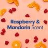 imageSoftsoap Warm Vanilla ampamp Coconut Milk Scent Liquid Hand Soap Moisturizing Liquid Hand Soap 1125 Ounce 6 PackEnergized