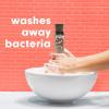 imageSoftsoap Warm Vanilla ampamp Coconut Milk Scent Liquid Hand Soap Moisturizing Liquid Hand Soap 1125 Ounce 6 PackEnergized