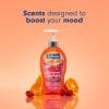 imageSoftsoap Warm Vanilla ampamp Coconut Milk Scent Liquid Hand Soap Moisturizing Liquid Hand Soap 1125 Ounce 6 PackEnergized