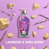 imageSoftsoap Warm Vanilla ampamp Coconut Milk Scent Liquid Hand Soap Moisturizing Liquid Hand Soap 1125 Ounce 6 PackLavender  Shea Butter