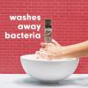 imageSoftsoap Warm Vanilla ampamp Coconut Milk Scent Liquid Hand Soap Moisturizing Liquid Hand Soap 1125 Ounce 6 PackRenewed