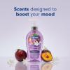 imageSoftsoap Warm Vanilla ampamp Coconut Milk Scent Liquid Hand Soap Moisturizing Liquid Hand Soap 1125 Ounce 6 PackRenewed
