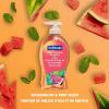 imageSoftsoap Moisturizing Liquid Hand Soap Pump Watermelon ampamp Mint 1125 Ounce Pack of 6