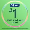 imageSoftsoap Soothing Clean Liquid Hand Soap Refill 50 Ounce