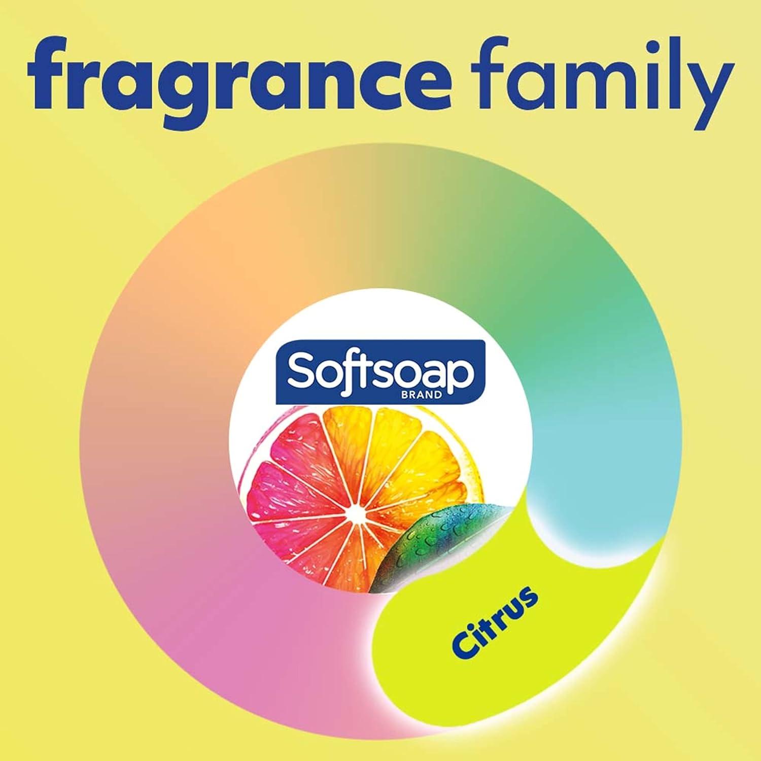 imageSoftsoap Clean ampamp Protect Antibacterial Liquid Hand Soap Cool Splash Hand Soap 1125 Ounce 6 PackFresh Citrus