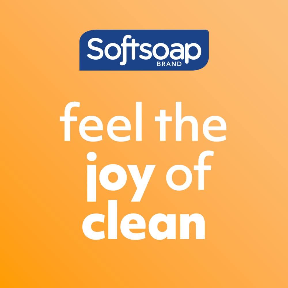 imageSoftsoap Clean ampamp Protect Antibacterial Liquid Hand Soap Cool Splash Hand Soap 1125 Ounce 6 PackWhite Tea  Berry