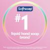 imageSoftsoap Clean ampamp Protect Antibacterial Liquid Hand Soap Cool Splash Hand Soap 1125 Ounce 6 PackCoconut  Hibiscus