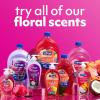 imageSoftsoap Clean ampamp Protect Antibacterial Liquid Hand Soap Cool Splash Hand Soap 1125 Ounce 6 PackCoconut  Hibiscus