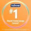 imageSoftsoap Clean ampamp Protect Antibacterial Liquid Hand Soap Cool Splash Hand Soap 1125 Ounce 6 PackCrisp Clean
