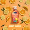 imageSoftsoap Clean ampamp Protect Antibacterial Liquid Hand Soap Cool Splash Hand Soap 1125 Ounce 6 PackCrisp Clean
