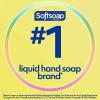 imageSoftsoap Clean ampamp Protect Antibacterial Liquid Hand Soap Cool Splash Hand Soap 1125 Ounce 6 PackFresh Citrus