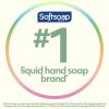imageSoftsoap Clean ampamp Protect Antibacterial Liquid Hand Soap Cool Splash Hand Soap 1125 Ounce 6 PackRosewater  Aloe