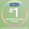 imageSoftsoap Clean ampamp Protect Antibacterial Liquid Hand Soap Cool Splash Hand Soap 1125 Ounce 6 PackRosewater  Aloe