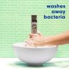 imageSoftsoap Clean ampamp Protect Antibacterial Liquid Hand Soap Cool Splash Hand Soap 1125 Ounce 6 PackRosewater  Aloe