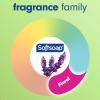 imageSoftsoap Clean ampamp Protect Antibacterial Liquid Hand Soap Cool Splash Hand Soap 1125 Ounce 6 PackRosewater  Aloe