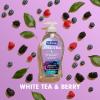 imageSoftsoap Clean ampamp Protect Antibacterial Liquid Hand Soap Cool Splash Hand Soap 1125 Ounce 6 PackWhite Tea  Berry