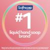 imageSoftsoap Liquid Hand Soap Aquarium Series  75 Fl Oz Pack of 6Milk and Honey